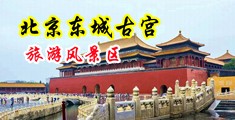 jk黑丝美女被操到翻白眼中国北京-东城古宫旅游风景区